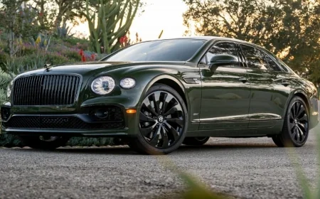 Bentley Kronik Sorunları - Bentley İncelemesi - Kullanıcı Yorumları