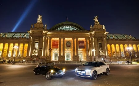 DS Automobiles Kronik Sorunları - DS Automobiles İncelemesi - Kullanıcı Yorumları