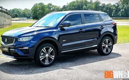 Rainwoll Kronik Sorunları - Rainwoll İncelemesi - Kullanıcı Yorumları