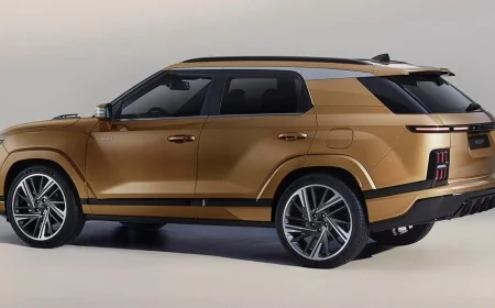 SWM Kronik Sorunları - SWM İncelemesi - Kullanıcı Yorumları