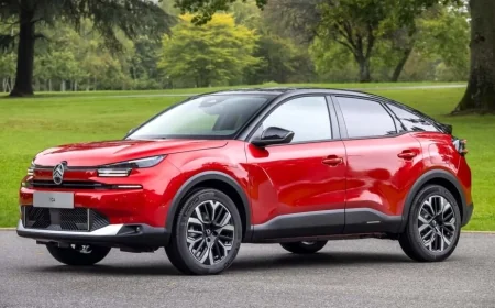 Citroën C4 Grand Picasso Kullanıcı Yorumları - C4 Grand Picasso Kronik Sorunlar - C4 Grand Picasso İnceleme